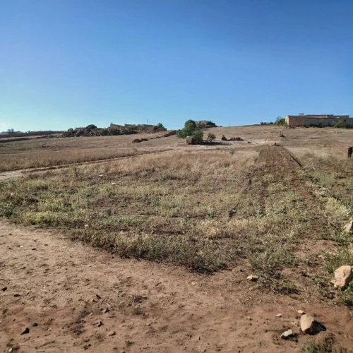 Vente Terrain Mostaganem Stidia