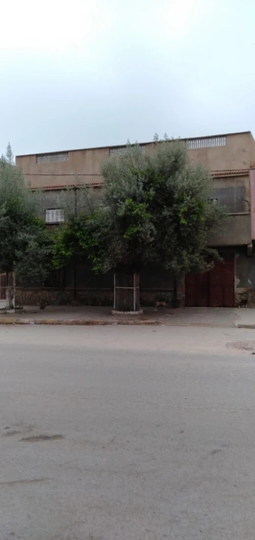 Vente Villa Relizane Yellel