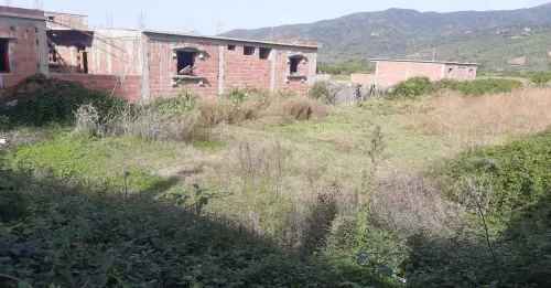 Vente Terrain Skikda Oued zehour