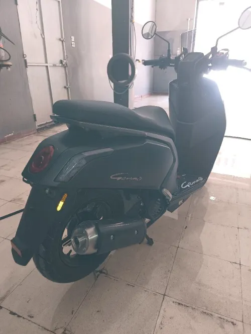 VMS GEMMA 2025