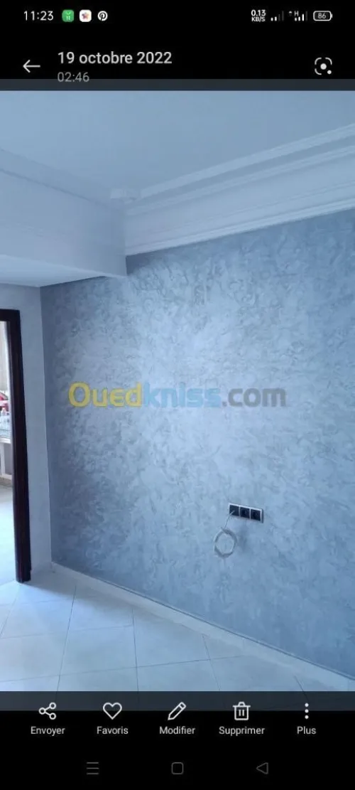 peintre decorateur d'maison