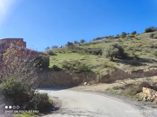 Vente Terrain Béjaïa Seddouk