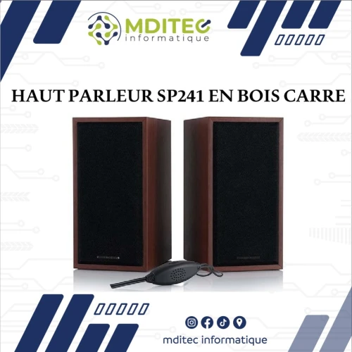 HAUT PARLEUR SP241 EN BOIS