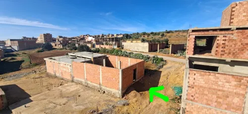Vente Terrain Mostaganem Sayada