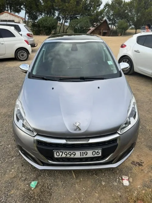 Peugeot 208 2019 Tech Vision