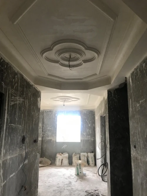 Vente Villa Alger Birtouta 10