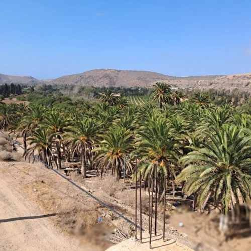 Vente Villa Aïn Témouchent Oulhaca el gheraba