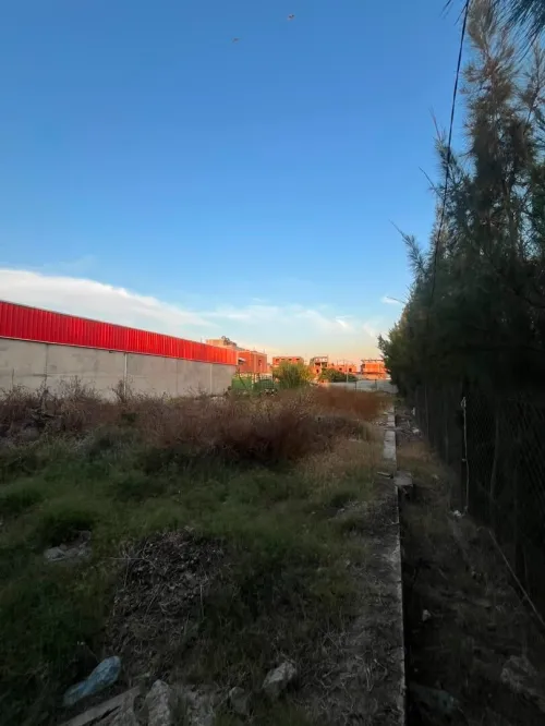 Location Terrain Alger Birtouta 18