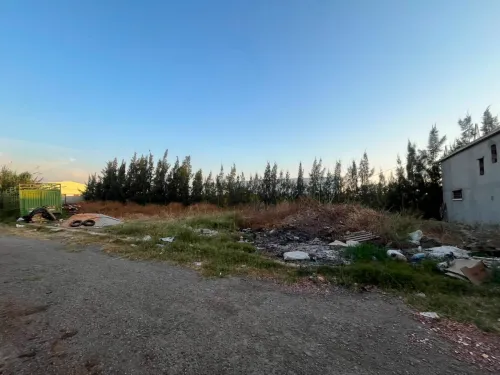 Location Terrain Alger Birtouta 14