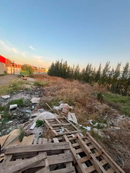 Location Terrain Alger Birtouta 3