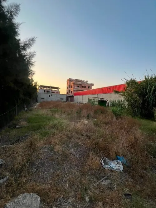 Location Terrain Alger Birtouta 7
