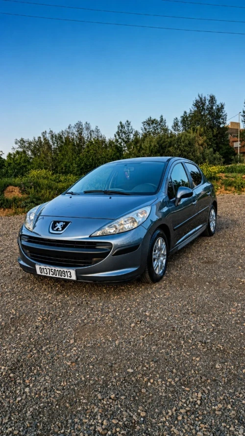Peugeot 207 2009 207