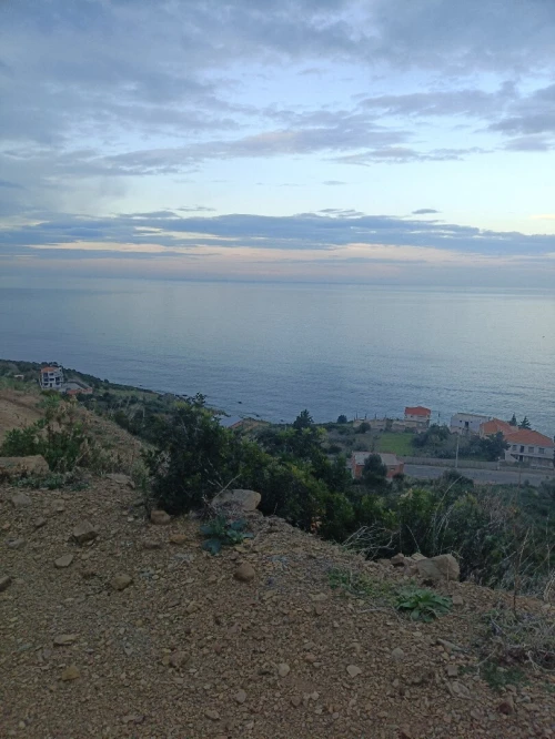 Vente Terrain Tizi Ouzou Azeffoun