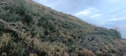 Vente Terrain Tizi Ouzou Azeffoun