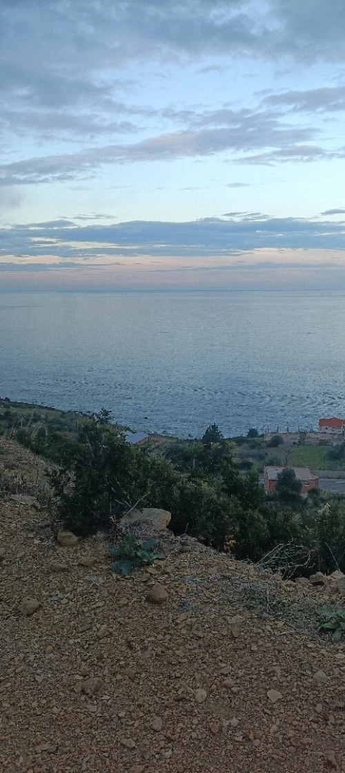 Vente Terrain Tizi Ouzou Azeffoun