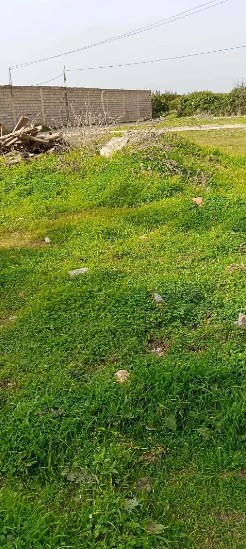 Vente Terrain Alger Sidi moussa