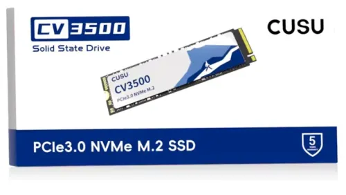 SSD 256 giga NMVE
