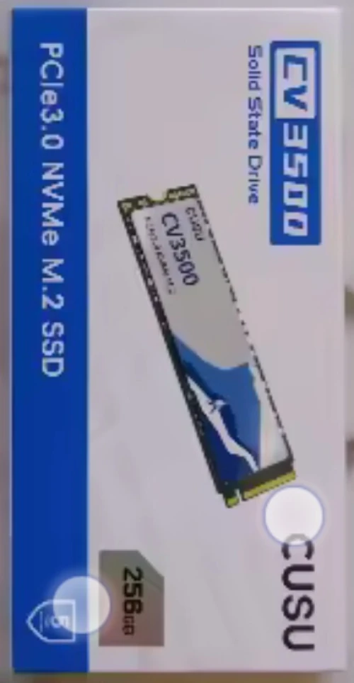 SSD 256 giga NMVE