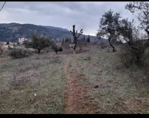 Vente Terrain Sétif Beni chebana