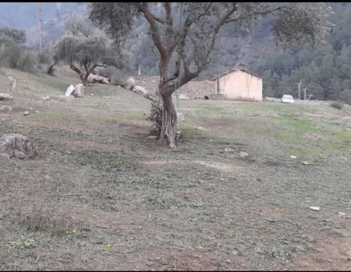 Vente Terrain Sétif Beni chebana