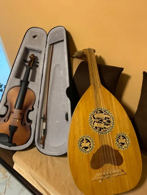 Violon 4/4