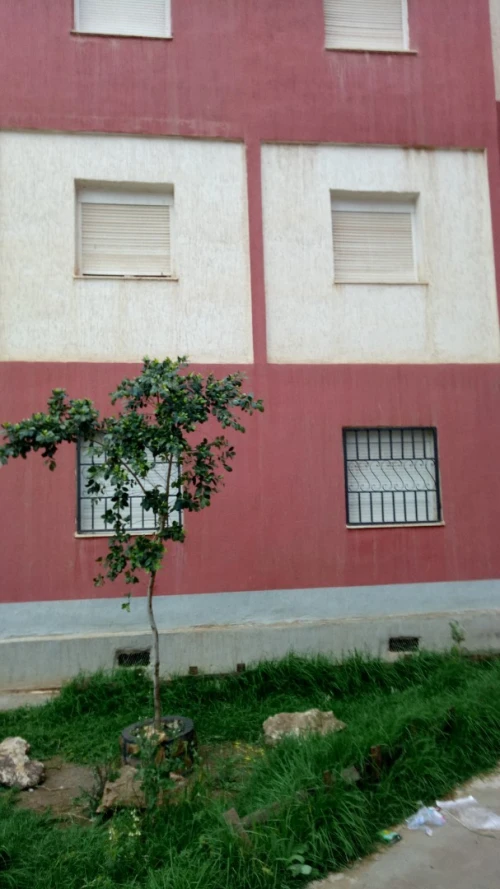 Echange Appartement F3 Tiaret Tiaret