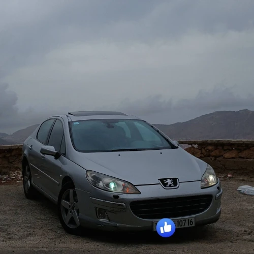 Peugeot 407 2007 Executive