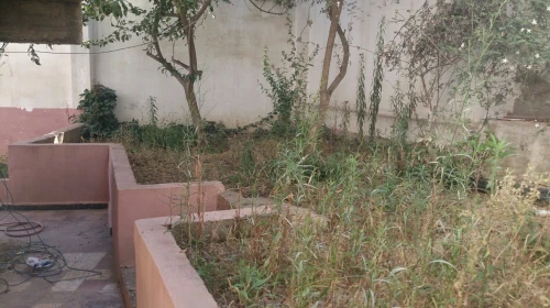 Location Villa Alger Bouzareah