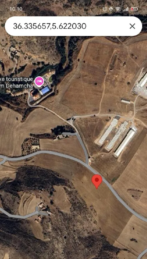 Vente Terrain Sétif Dehamcha