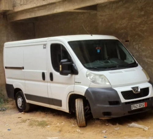 Pegoue Boxr 2009