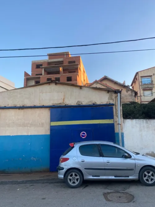Vente Terrain Alger Hammamet