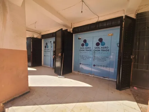 Publicité en 24h sur Alger 0561731457 Habillage vitrine autocollant Oneway Bache Sablé