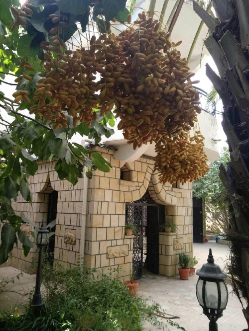 Vente Villa Tizi Ouzou Tizi ouzou