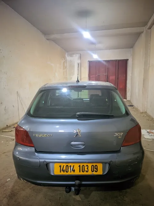 Peugeot 307 2003 XT