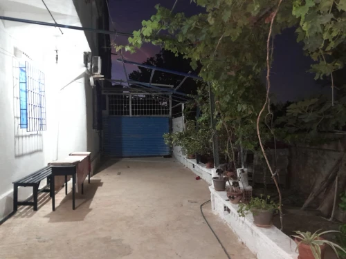Location Appartement Chlef Tenes