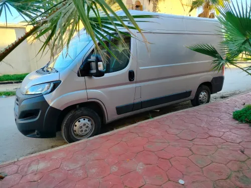 Fiat Ducato 2024 L2 H2 (deux panneaux)