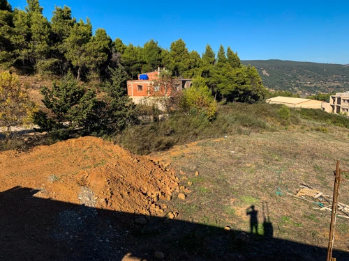 Vente Terrain Mila Terrai bainem