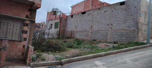 Vente Terrain Tlemcen Sebaa chioukh