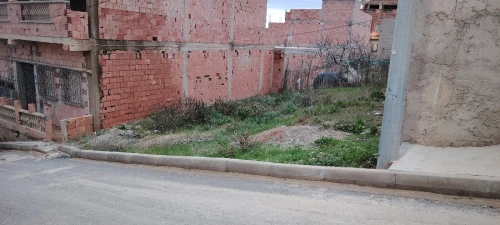 Vente Terrain Tlemcen Sebaa chioukh