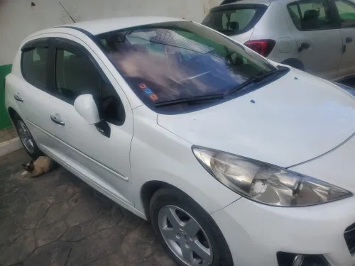 Peugeot 207 2012 Fennec
