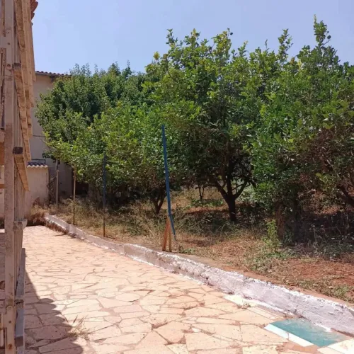 Location vacances Villa Tipaza Tipaza