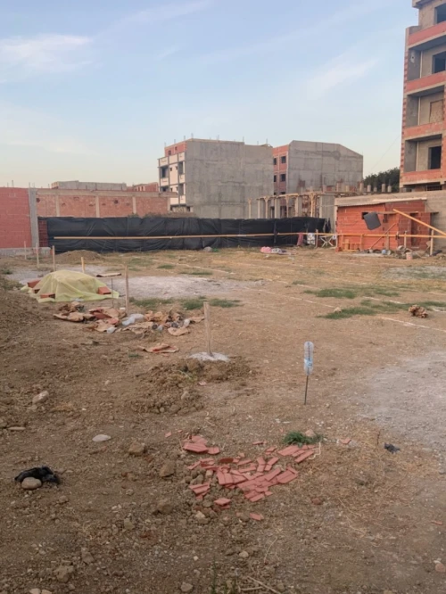 Vente Terrain Alger Tessala el merdja