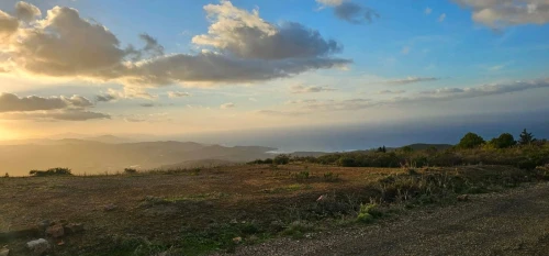 Vente Terrain Tipaza Cherchell