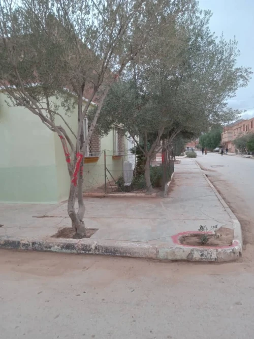 Vente Appartement F3 Naâma Mecheria