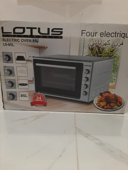 Four électrique