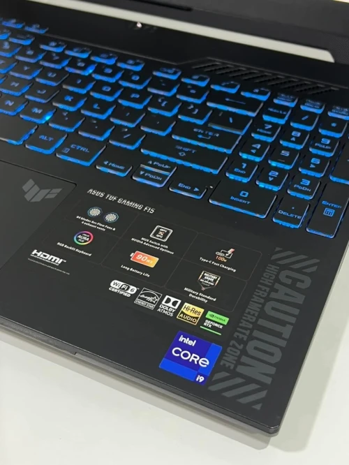 ASUS TUF GAMING F15/INTEL I9-13900H/32GB DDR4/1TB SSD NVEM/NVIDIA RTX 4060 8GB/ 15.6 FHD 144HZ 