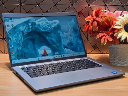 DELL LATITUDE 5420/ INTEL I5-1135U 4,4 GHZ/ram 16  ddr4 3200mhz/disk 256Gb ssd/14.1 pouce fulhd