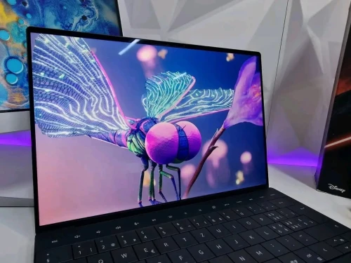 DELL XPS 13 PLUS  9320/I7-1360P/16GB DDR5/512 SSD/INTEL IRIS XE GRAPHIQS 08 GB/13.3  IPS FHD+