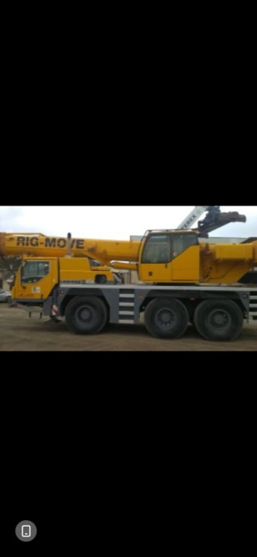 Location grue mobile