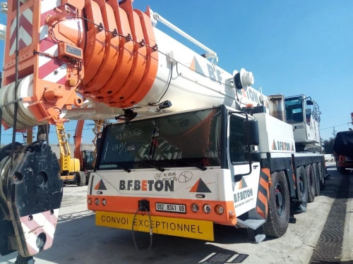 Location grue 